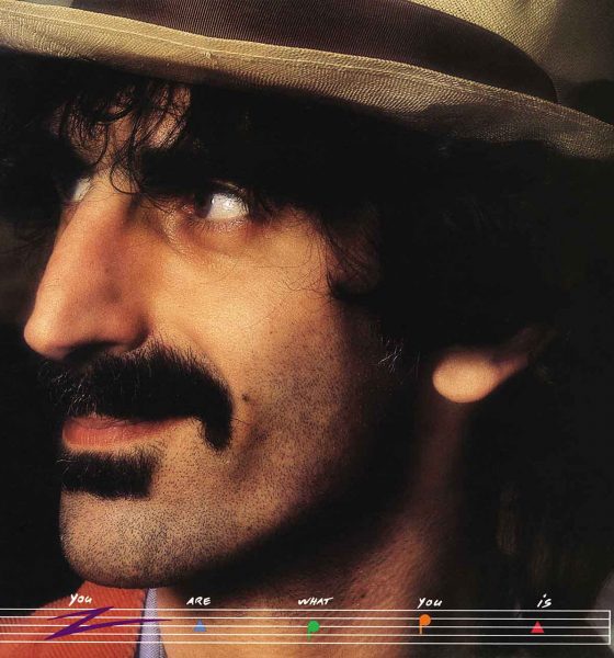 Frank Zappa You Are What You Is
